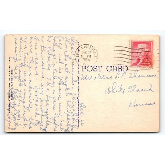 Vintage Linen Postcard Royal Poinciana Tree Florida 1940s Divided Back - Picture 2 of 2